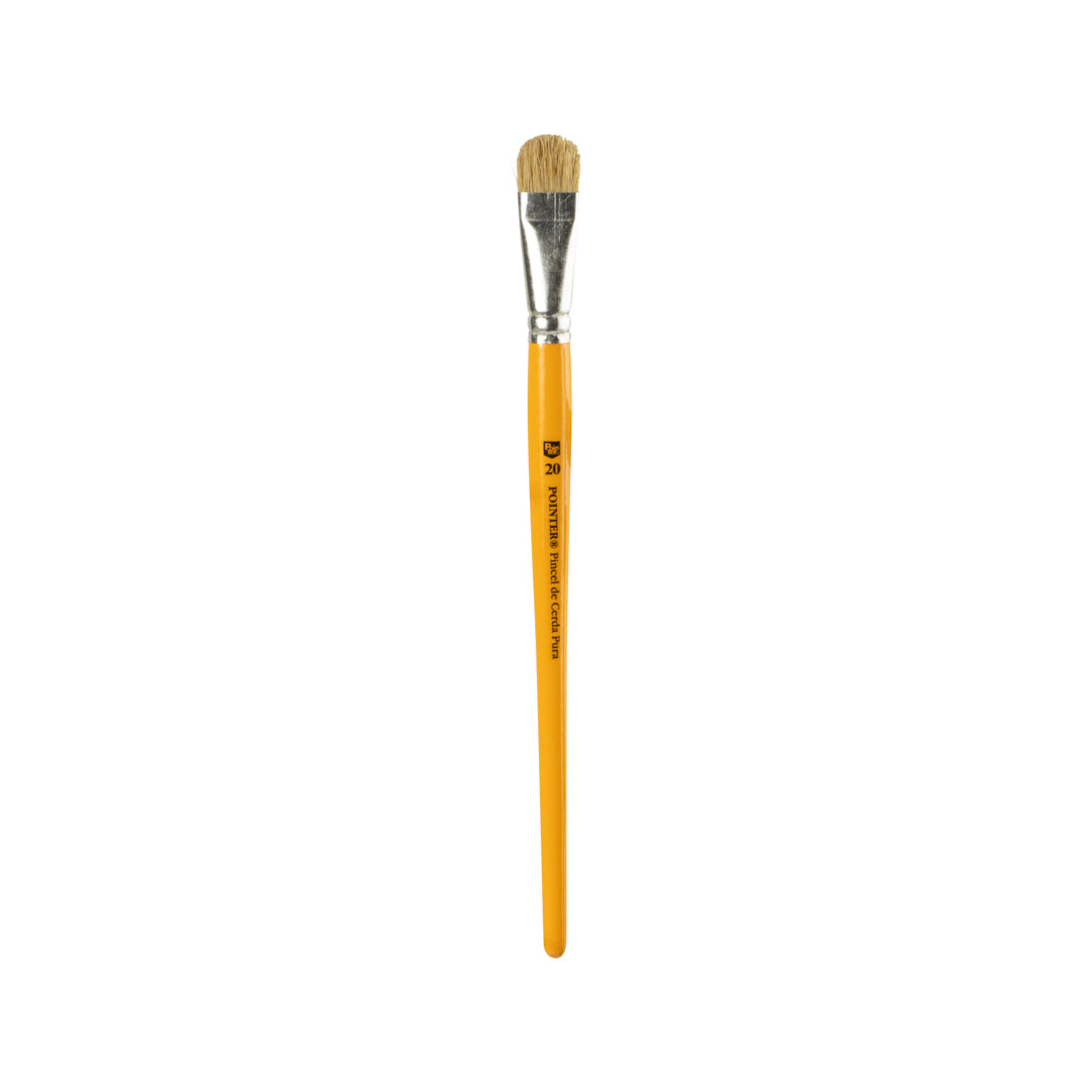 PINCEL AMARILLO POINTER LENGUA DE GATO CERDA NATURAL #20 CX12 (F. 50 DOC)
