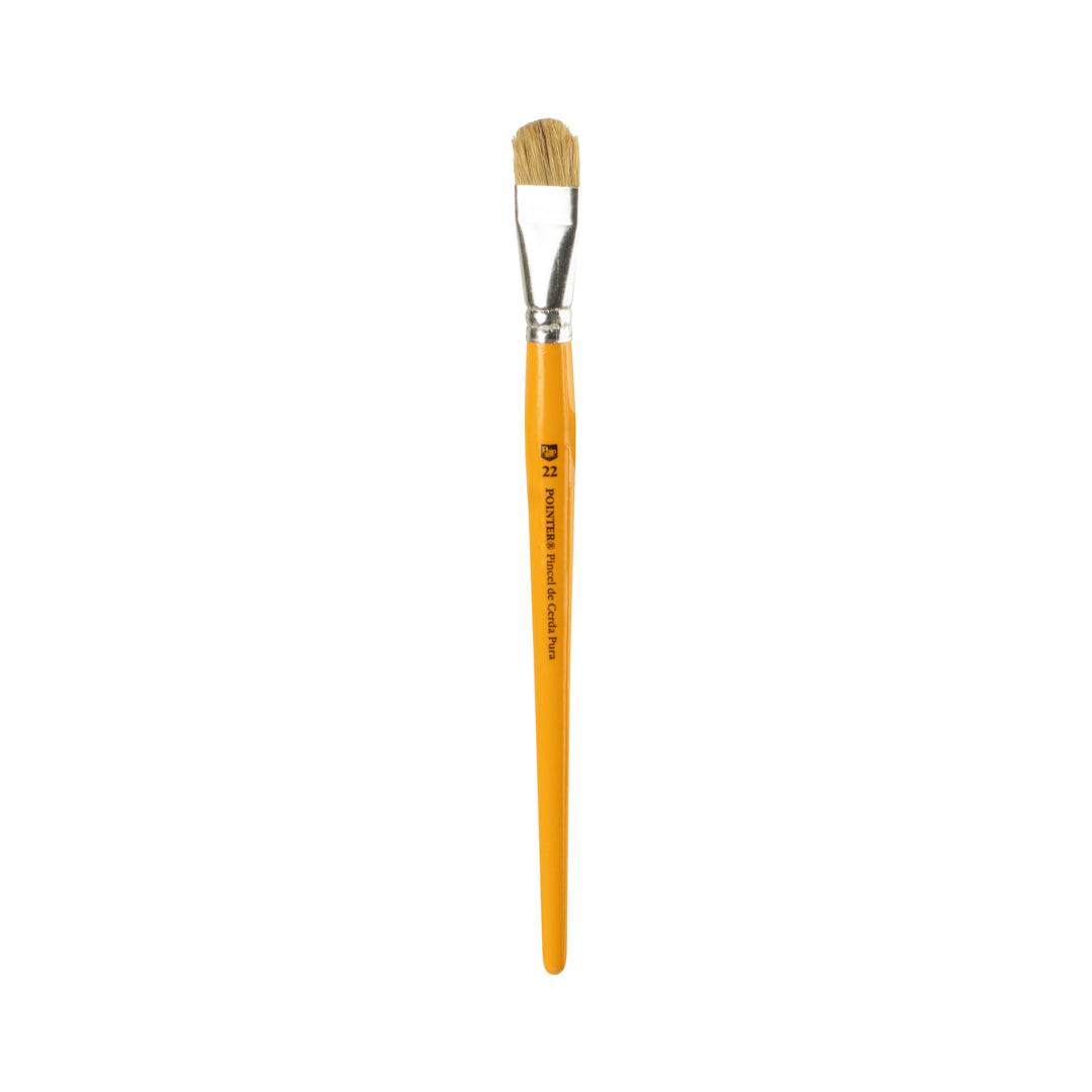 PINCEL AMARILLO POINTER LENGUA DE GATO CERDA NATURAL #22 CX12 (F. 50 DOC)