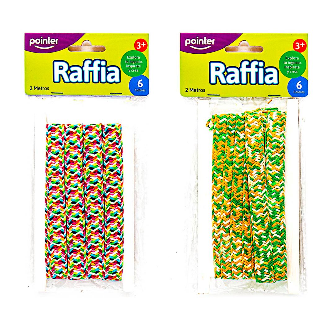 RAFIA TRENZADA POINTER 2 DISEÑOS 6 COLORES 2M (F. 144 SETS)