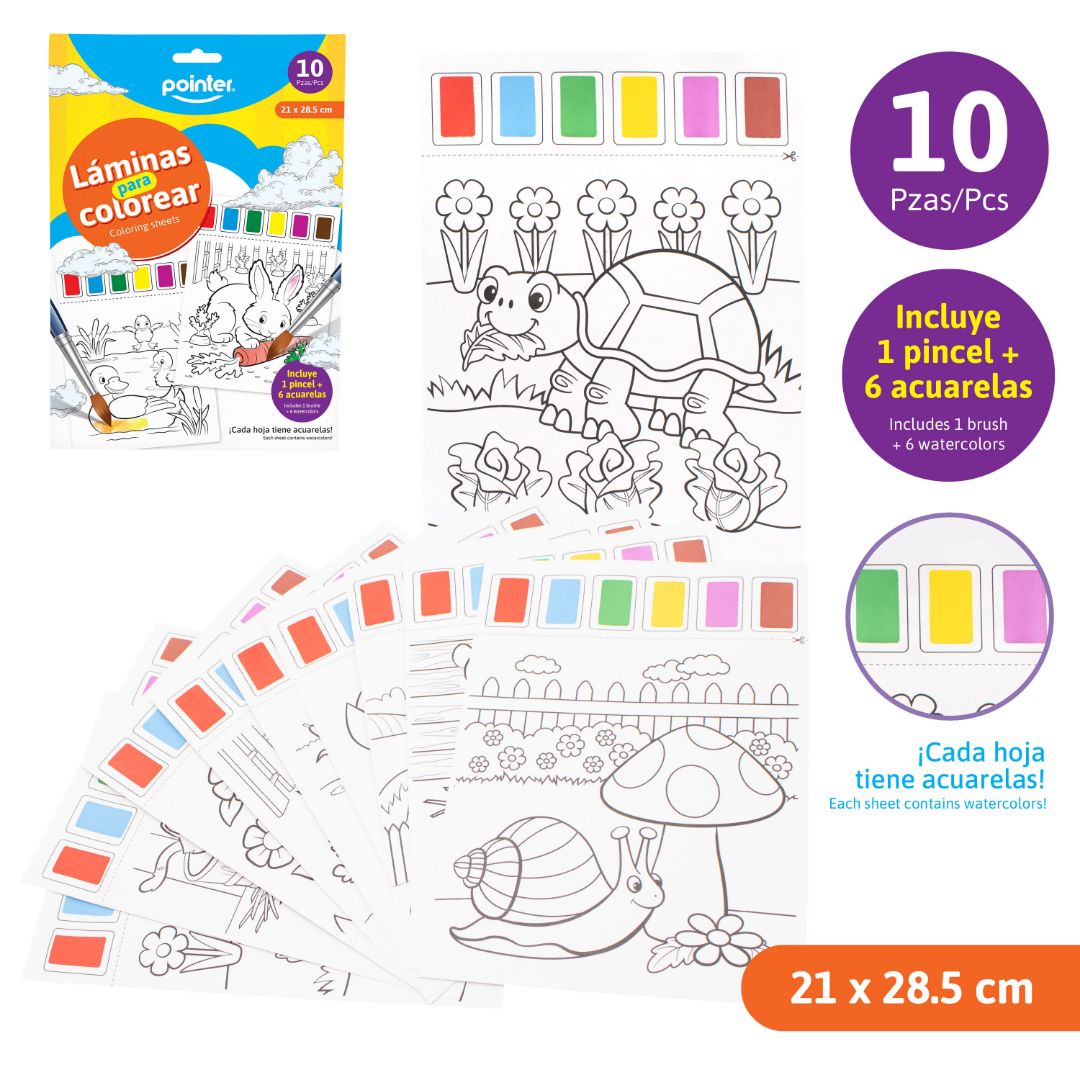 LAMINAS PARA COLOREAR POINTER PX10 HOJAS (F. 96 SETS)