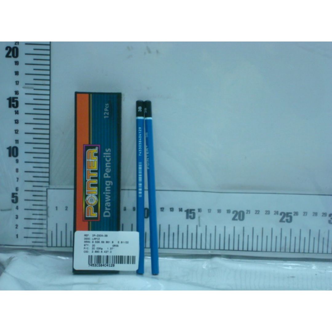 LAPIZ PARA DIBUJO POINTER DE GRAFITO CX12 3B (F. 240 DOC)
