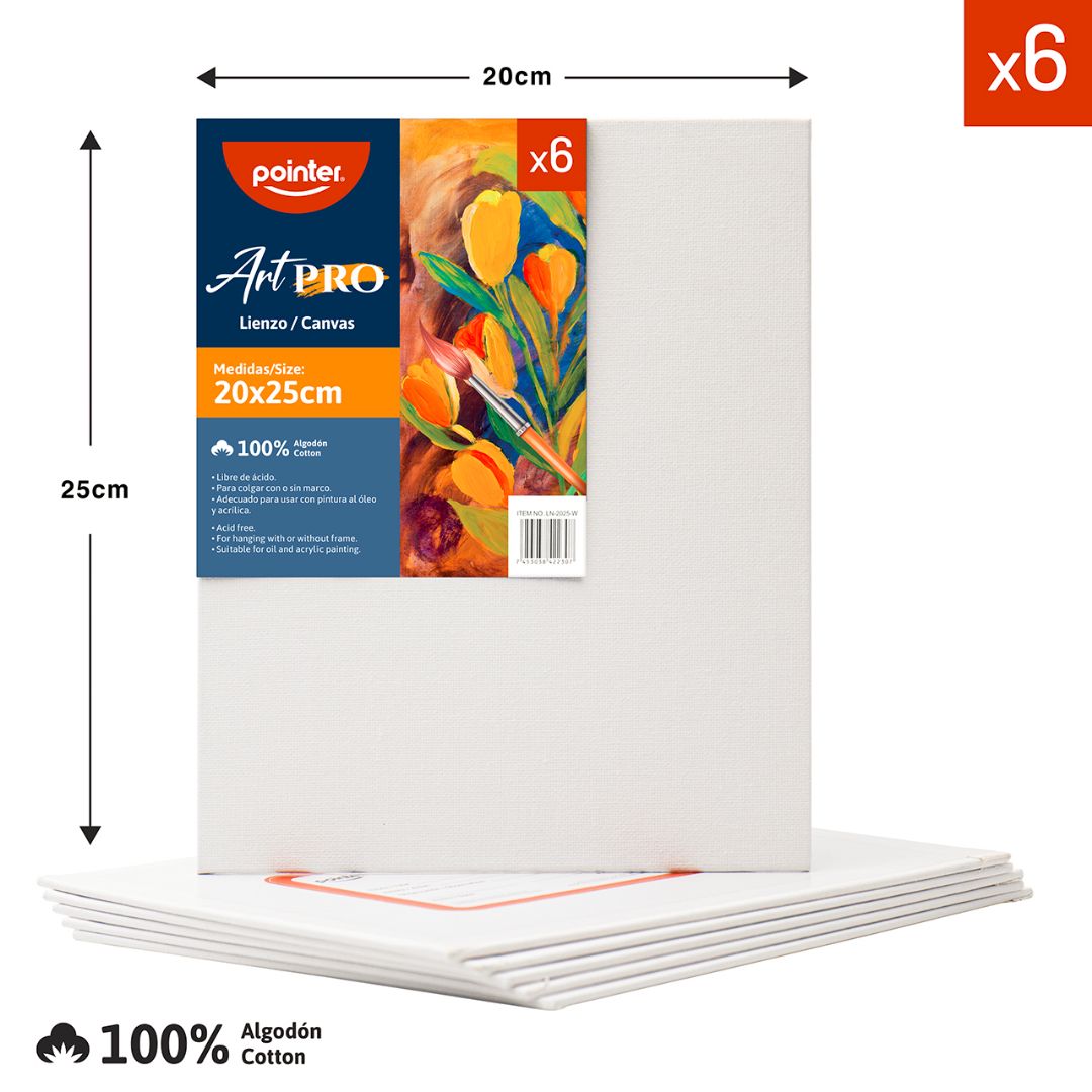 CARTON CON TELA POINTER 25CMX20CM (F. 120 PZAS)