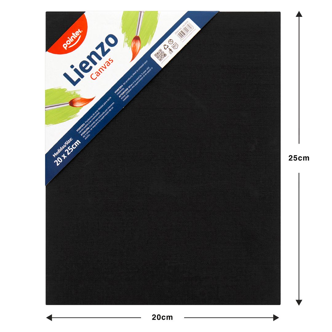 CARTON CON TELA NEGRA POINTER 20X25CM (F. 120 PZAS)