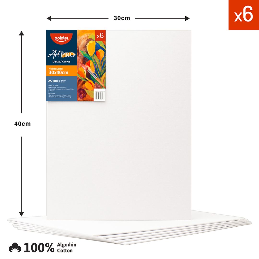 CARTON CON TELA POINTER 30X40CM (F. 48 PZAS)