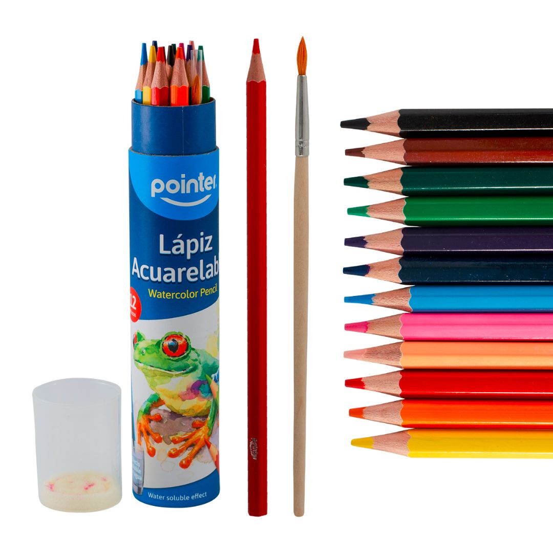 CRAYON DE MADERA POINTER EN TUBO ACUARELABLE 12 COL (F. 180 SETS)