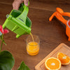 EXPRIMIDOR DE FRUTAS EXCALIBUR C/FILTRO PARA SEMILLA 2 COL.  (F. 24 SETS)