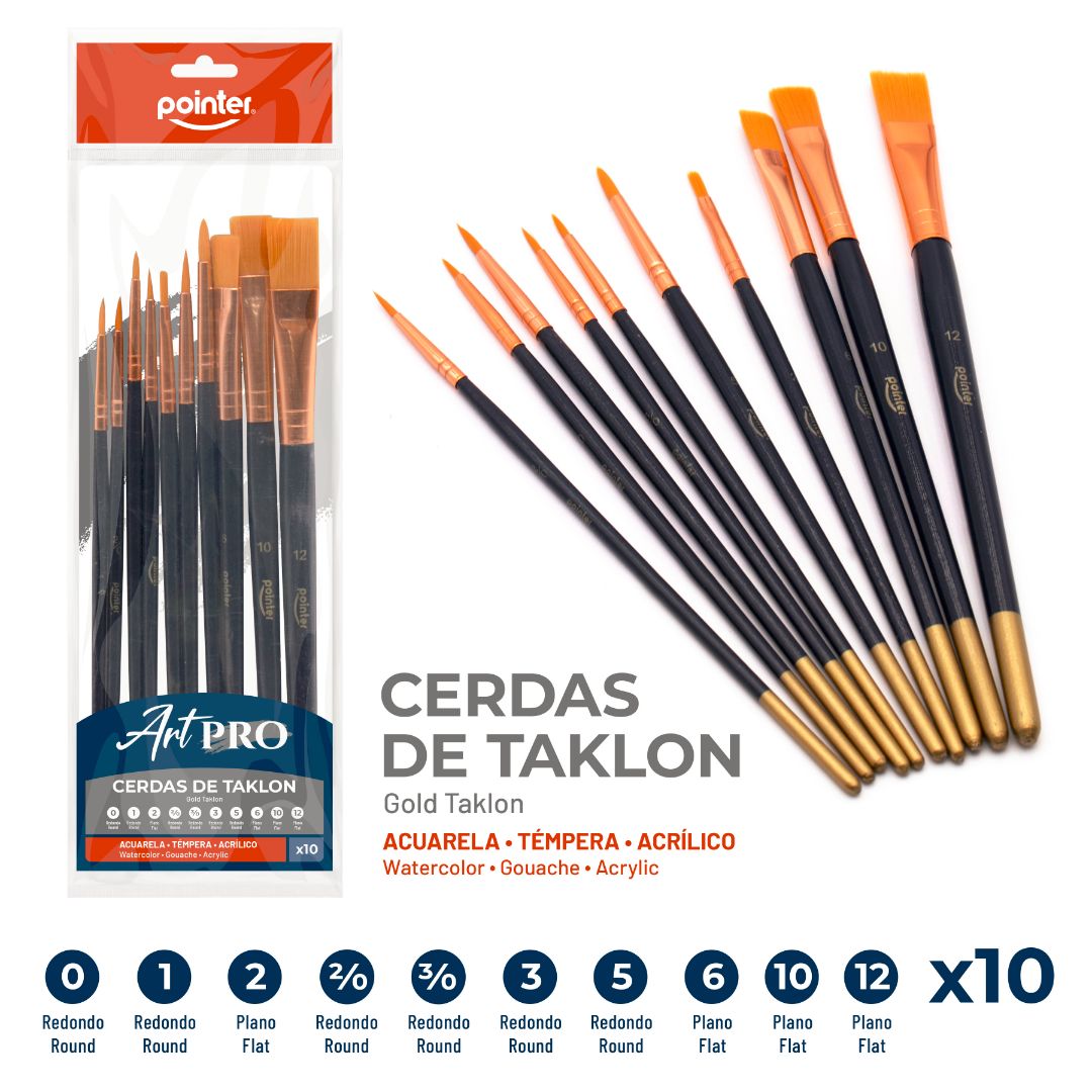 SET DE PINCELES POINTER BX10 (F. 240 SETS)