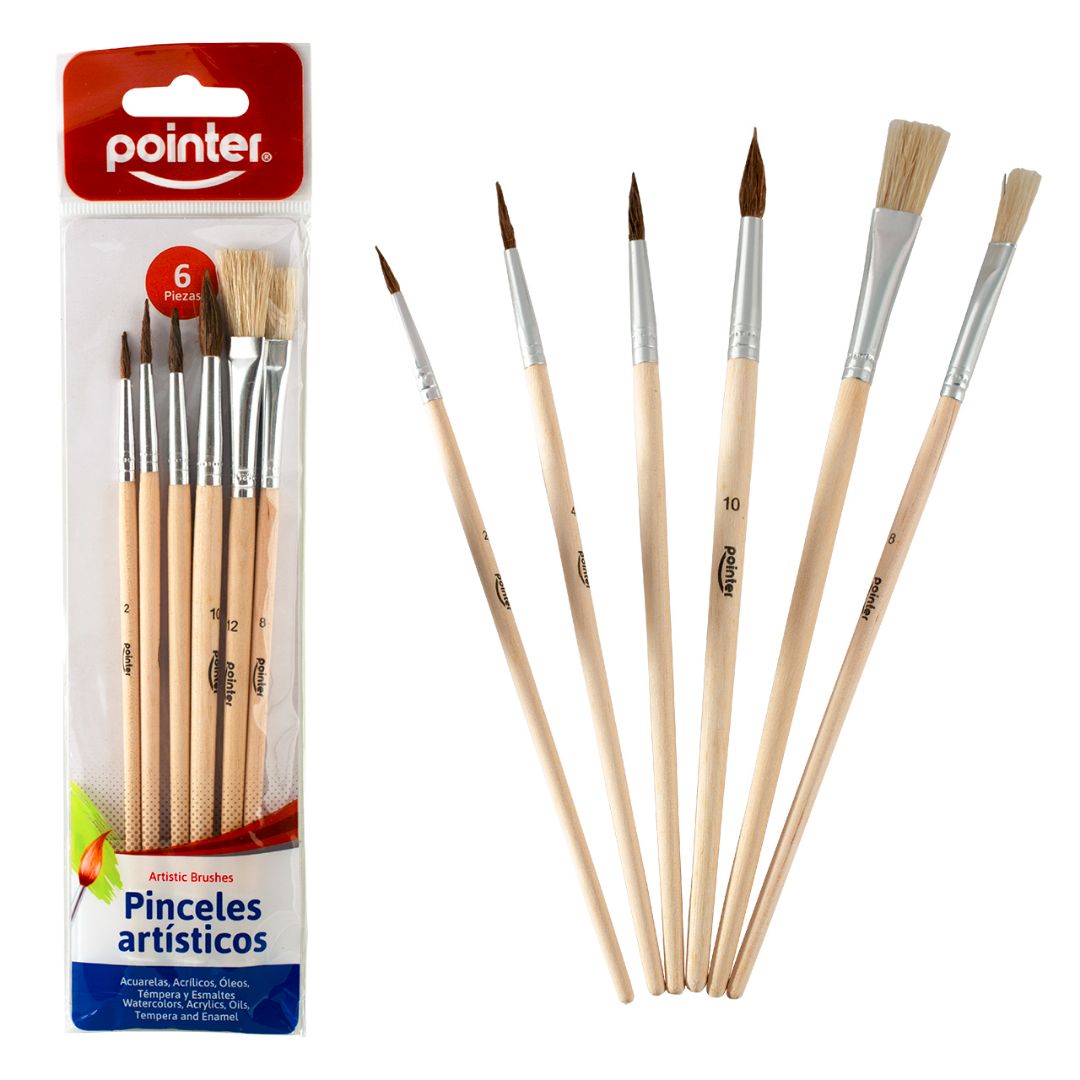 SET DE PINCELES POINTER BX6 (F. 240 SETS)