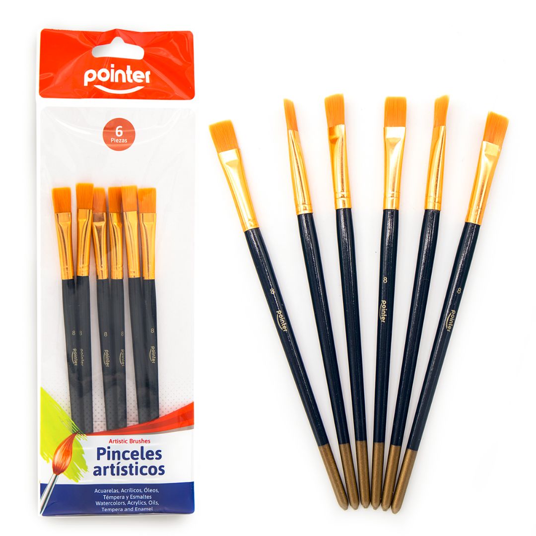 SET DE PINCELES POINTER BX6 (F. 144 SETS)