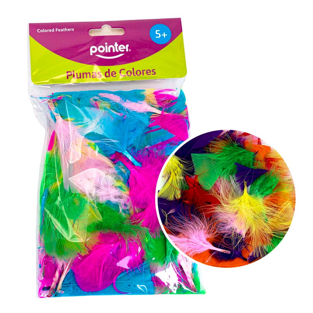 PLUMAS POINTER DE COLORES (F. 288 SETS)