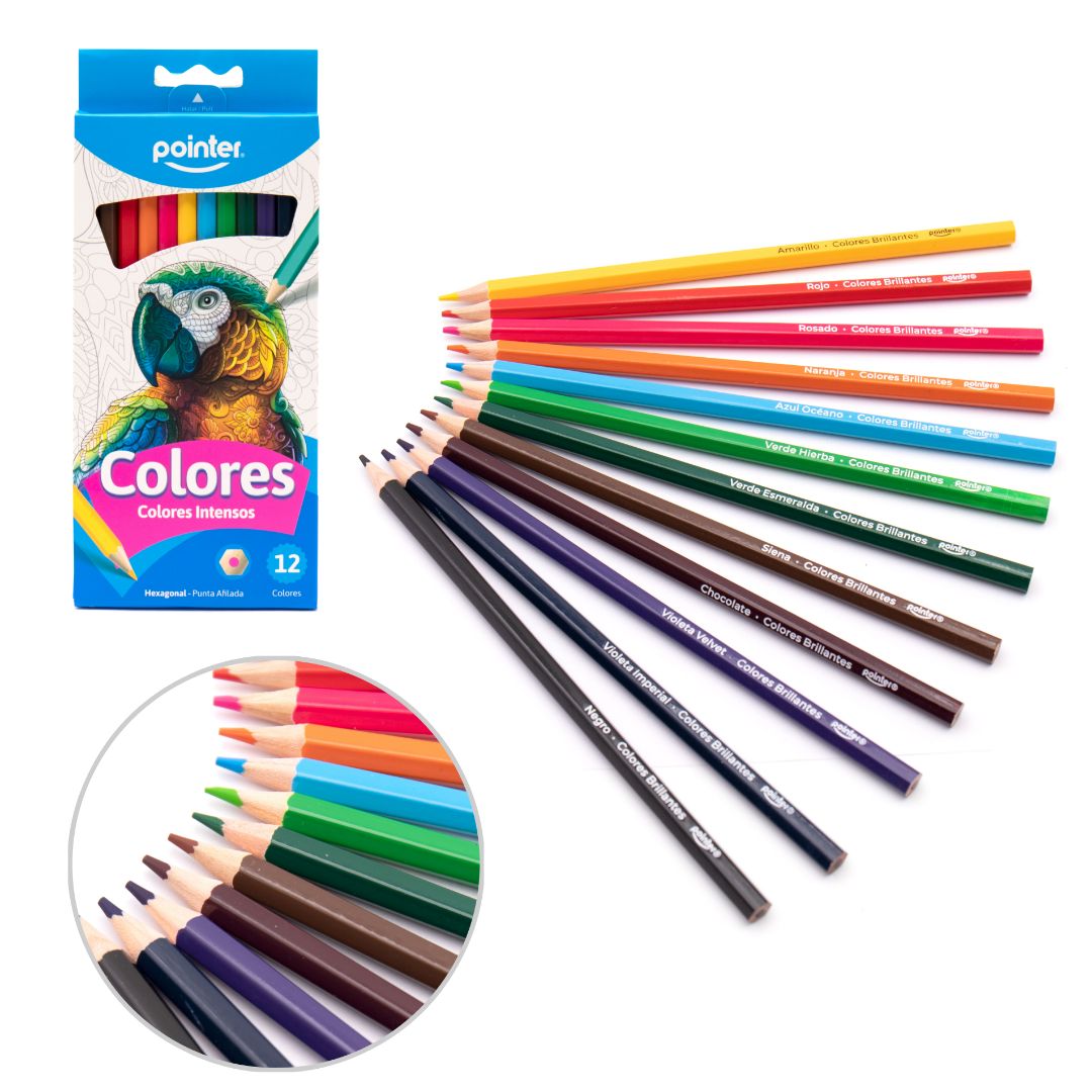CRAYON DE MADERA POINTER LARGO HEXAGONAL 12 COL. (F. 240 SETS)