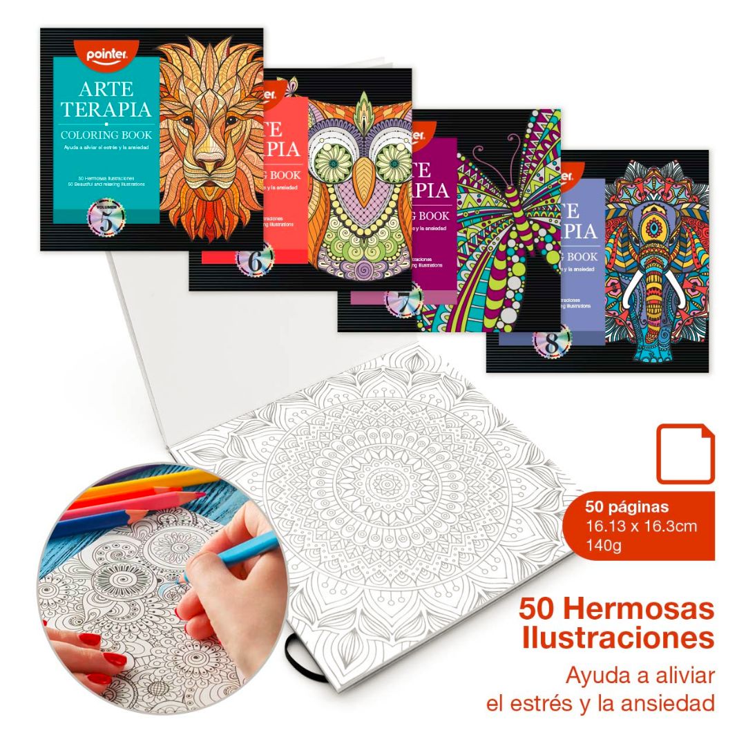 LIBRO ARTE TERAPIA POINTER 50 ILUSTRACIONES 16.13X16.13CM 140G NO.5-8 (F. 72 SETS)