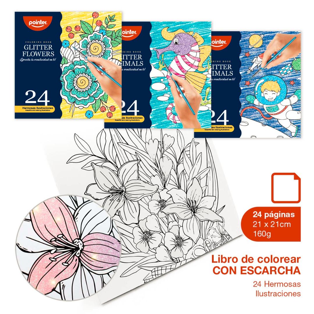 LIBRO DE ARTE TERAPIA POINTER C/ESCARCHA 24 ILUS. 4 DIS. 21X21CM 160G (F. 48 PZAS)