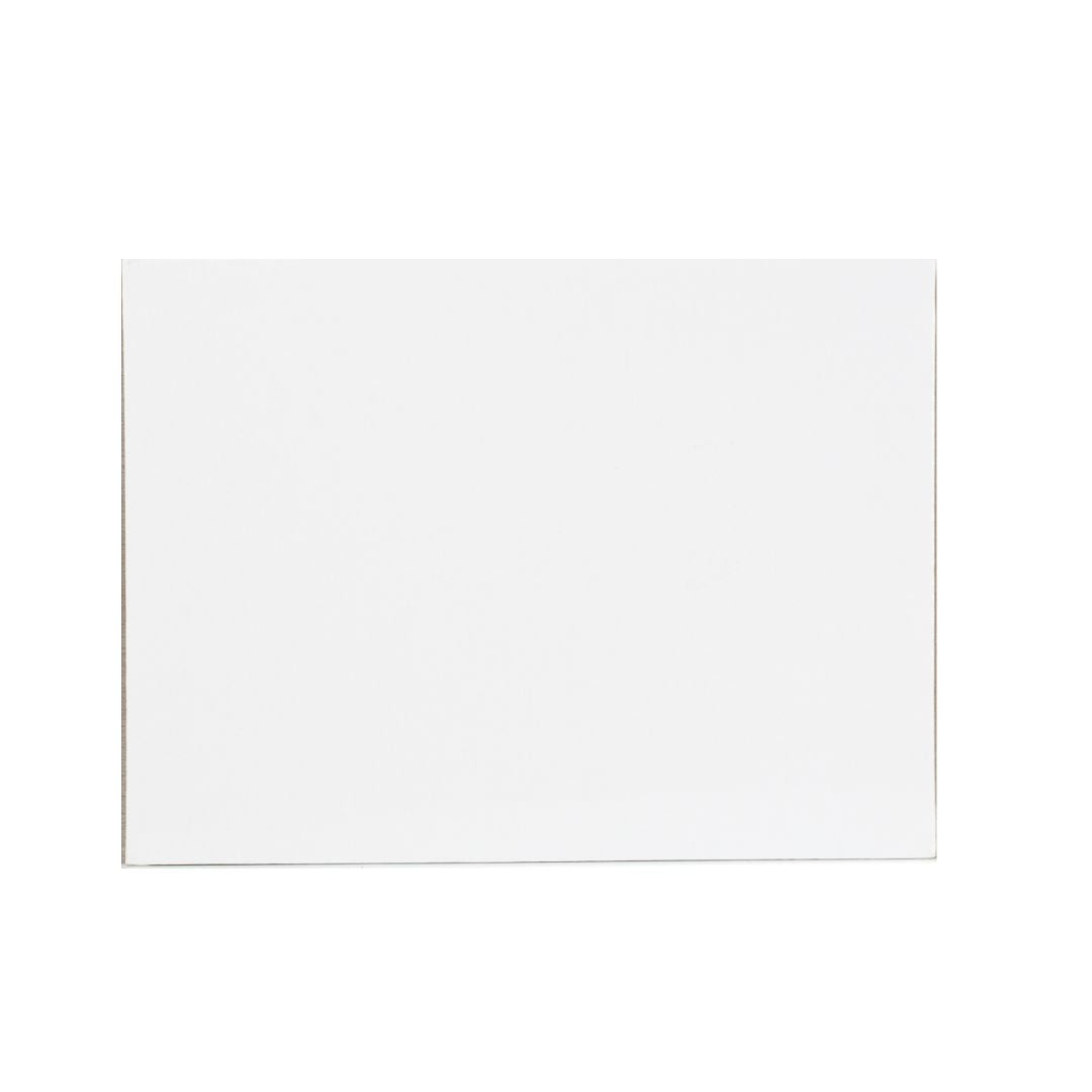 CARTON CON TELA POINTER 10" X 12" (F. 48 UNI)