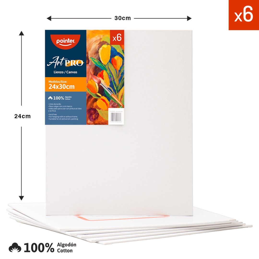 CARTON CON TELA POINTER 24X30CM (F. 96 PZAS)